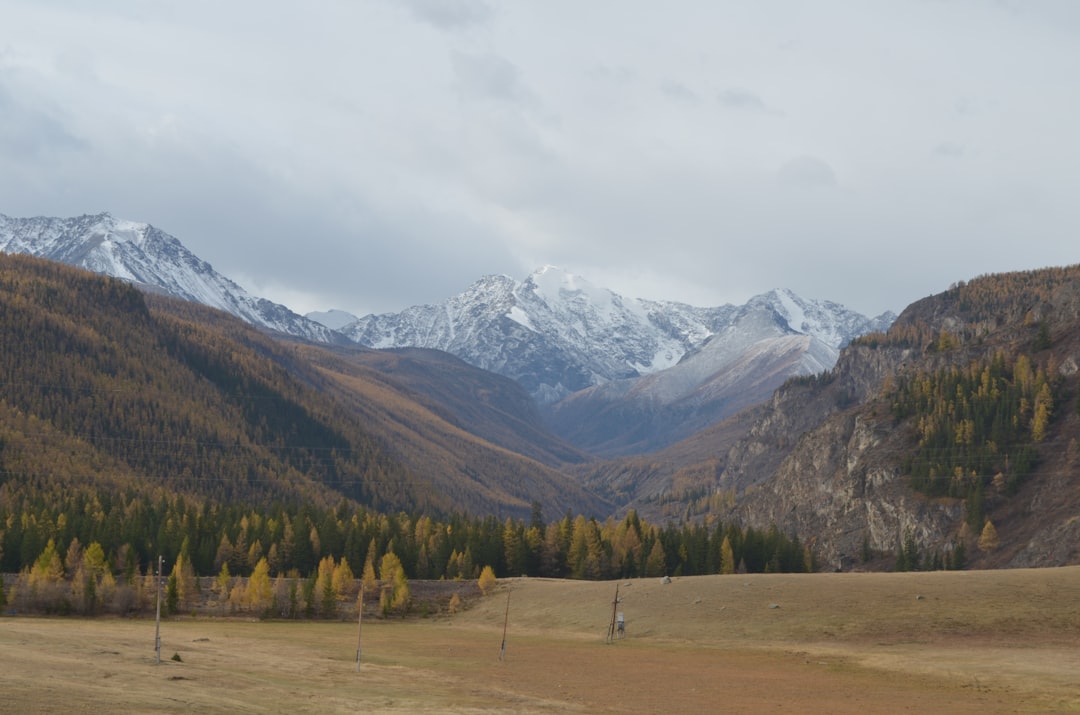 Алтай