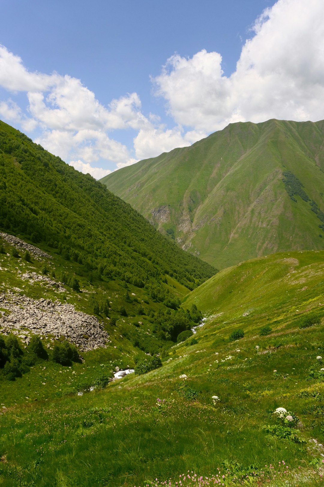 Краснодарский край