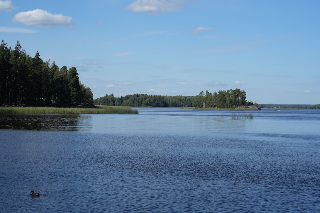 Ленинградская область