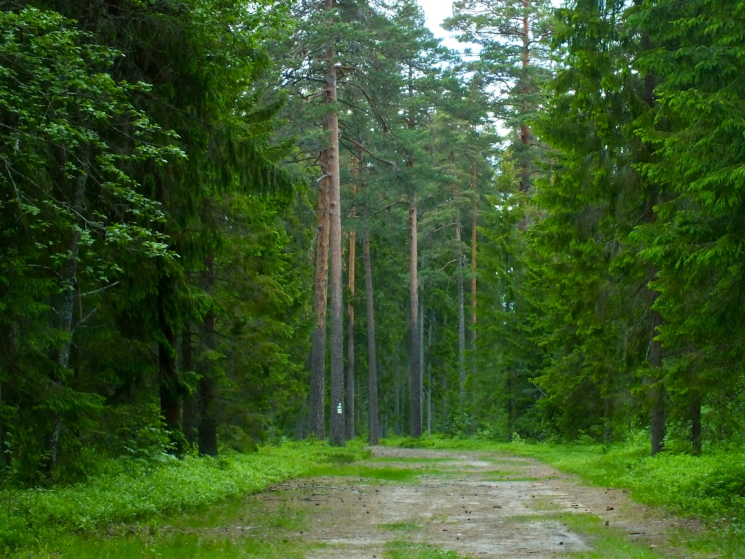 Московская область