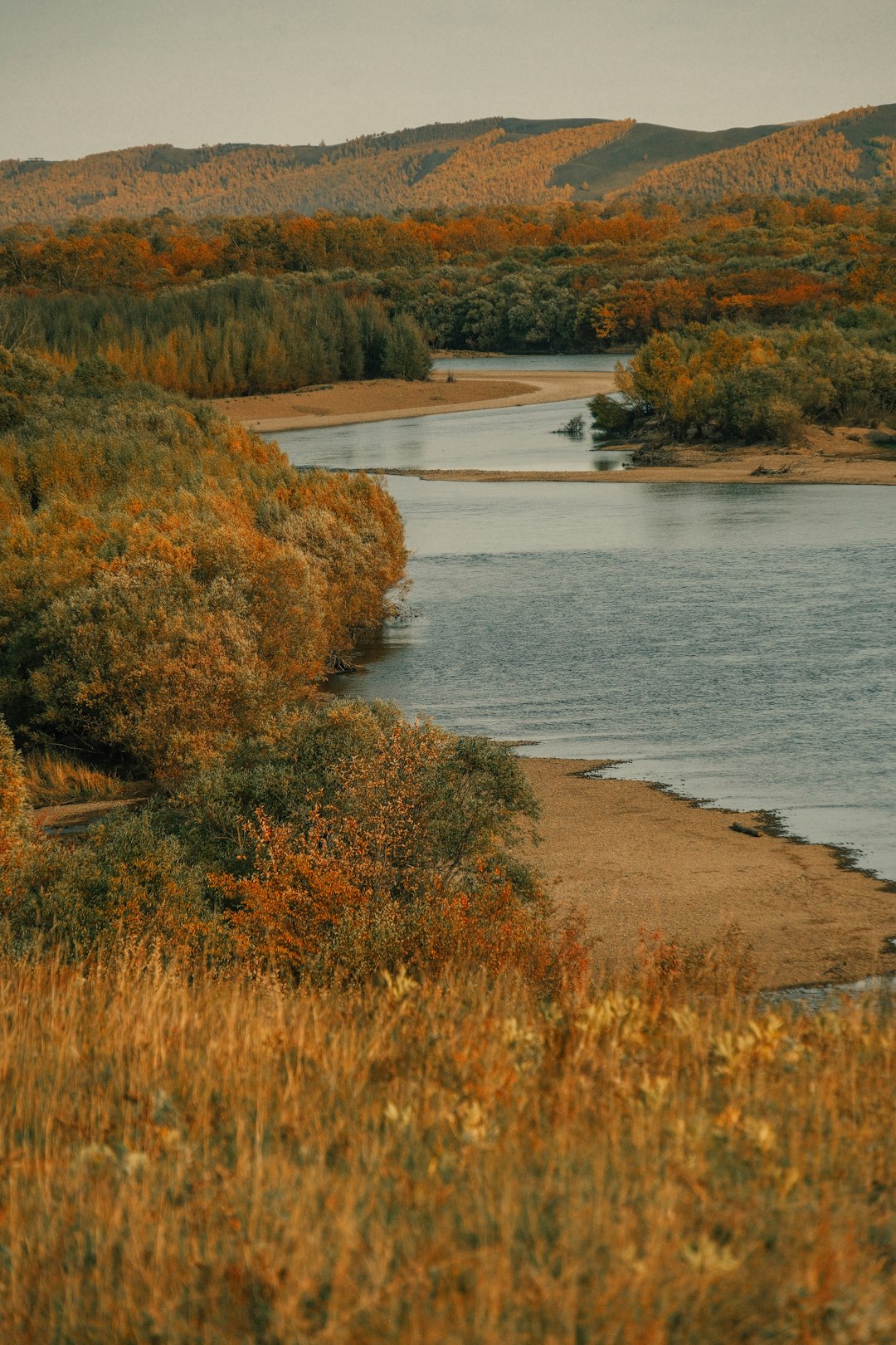 Самарская область